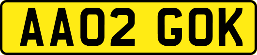 AA02GOK