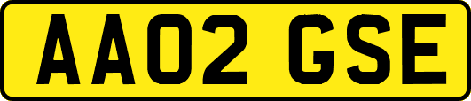 AA02GSE