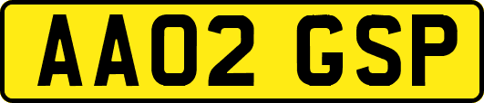 AA02GSP