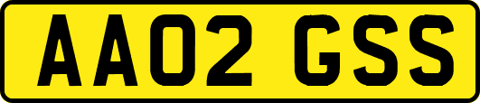 AA02GSS