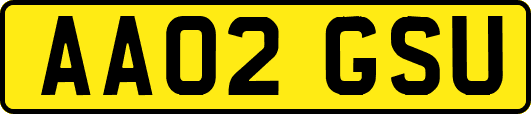 AA02GSU