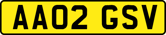 AA02GSV
