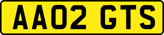 AA02GTS