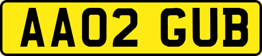 AA02GUB