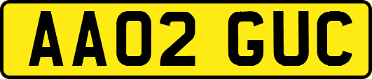 AA02GUC