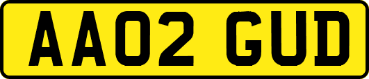 AA02GUD