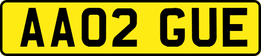 AA02GUE