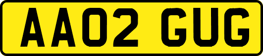 AA02GUG