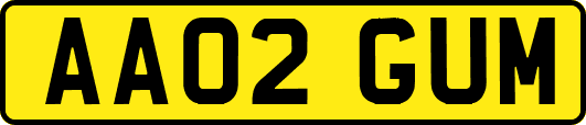 AA02GUM