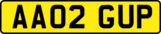 AA02GUP