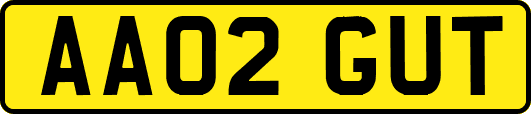 AA02GUT