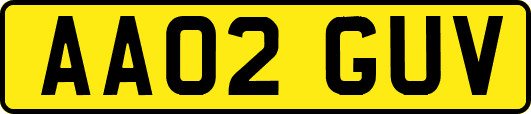 AA02GUV