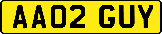AA02GUY
