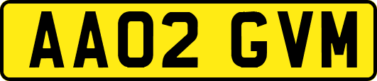 AA02GVM