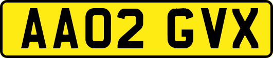 AA02GVX