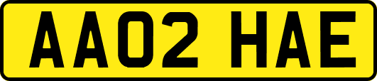 AA02HAE