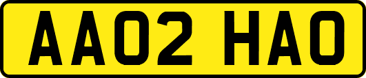 AA02HAO
