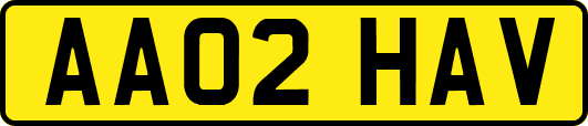 AA02HAV