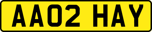 AA02HAY