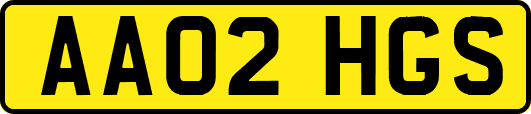 AA02HGS
