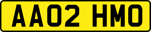 AA02HMO
