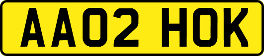 AA02HOK
