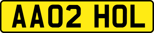 AA02HOL