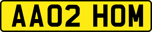 AA02HOM