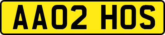 AA02HOS