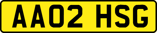 AA02HSG