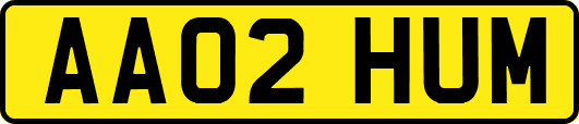 AA02HUM