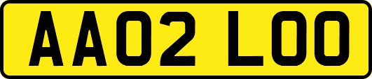 AA02LOO