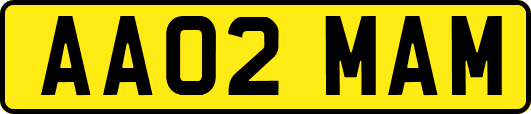 AA02MAM