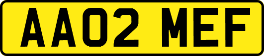 AA02MEF