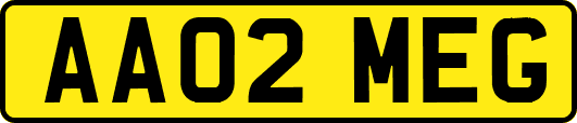 AA02MEG