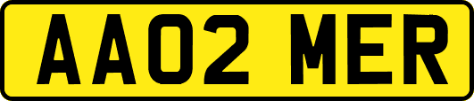 AA02MER