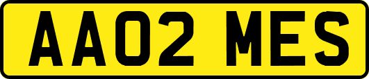 AA02MES