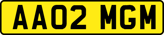 AA02MGM
