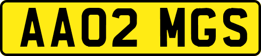 AA02MGS