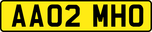AA02MHO