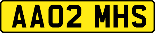 AA02MHS