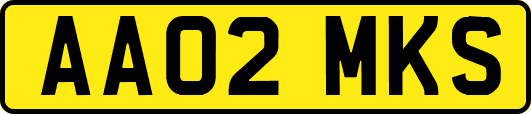 AA02MKS
