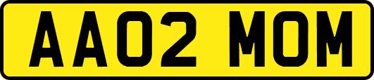 AA02MOM