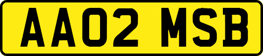AA02MSB