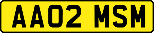 AA02MSM