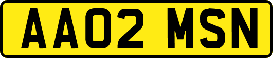 AA02MSN