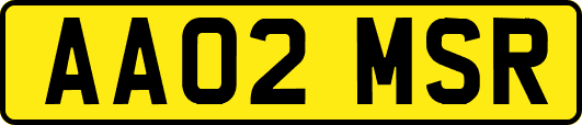 AA02MSR