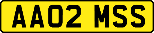 AA02MSS