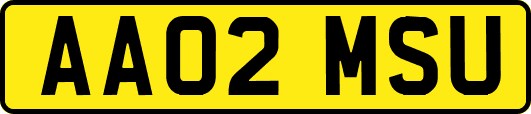 AA02MSU
