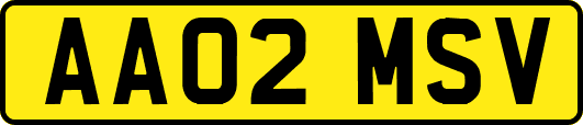 AA02MSV